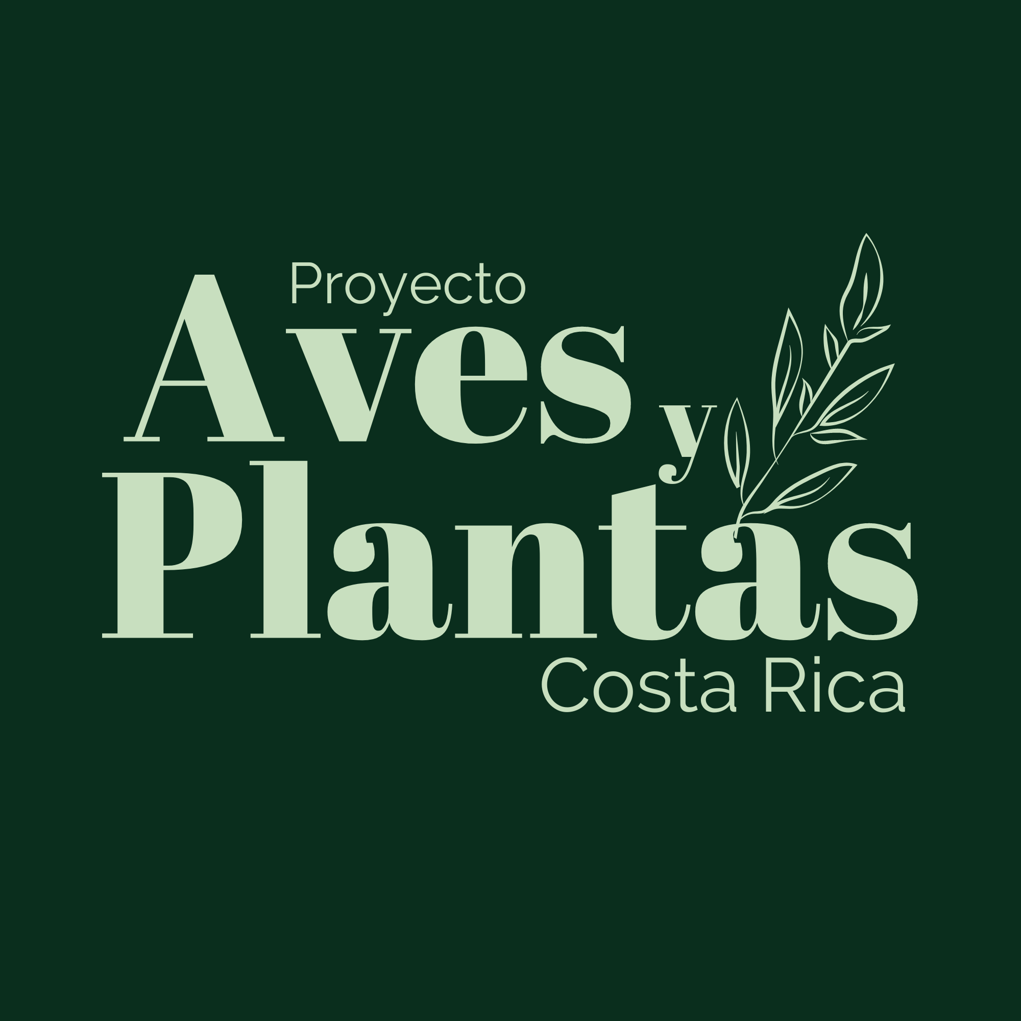 Aves y Plantas Costa Rica